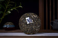 2026 Yunnan Sourcing "The Source" Raw Pu-erh Tea Cake | Yunnan Sourcing Tea Shop