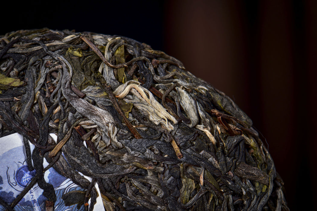 2026 Yunnan Sourcing "The Source" Raw Pu-erh Tea Cake | Yunnan Sourcing Tea Shop