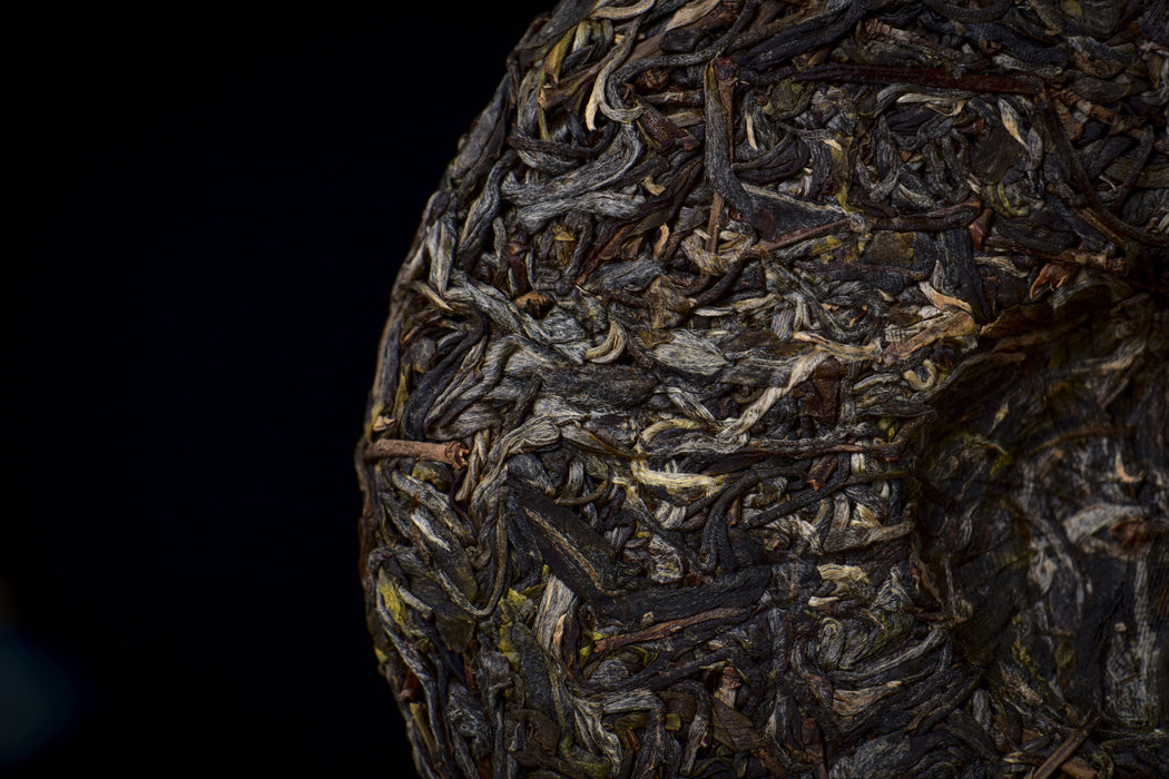 2026 Yunnan Sourcing "The Source" Raw Pu-erh Tea Cake | Yunnan Sourcing Tea Shop