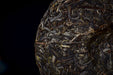 2026 Yunnan Sourcing "The Source" Raw Pu-erh Tea Cake | Yunnan Sourcing Tea Shop
