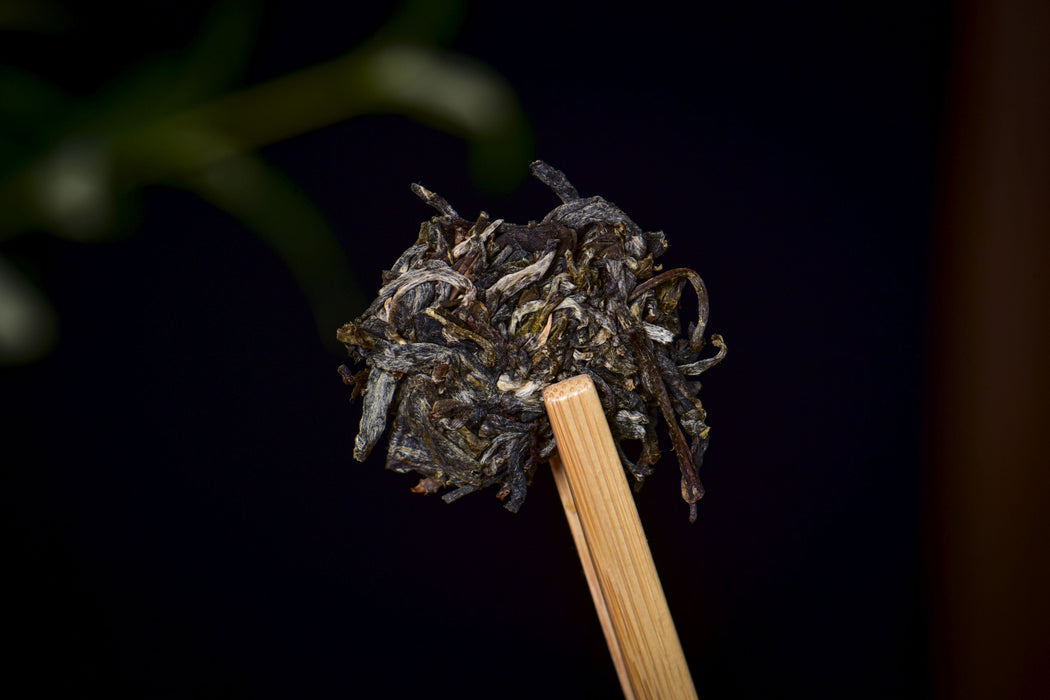 2026 Yunnan Sourcing "The Source" Raw Pu-erh Tea Cake | Yunnan Sourcing Tea Shop