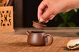 Wenge Ni "Xi Shi" Yixing Teapot by Jin Jia Qi | Yunnan Sourcing Tea Shop