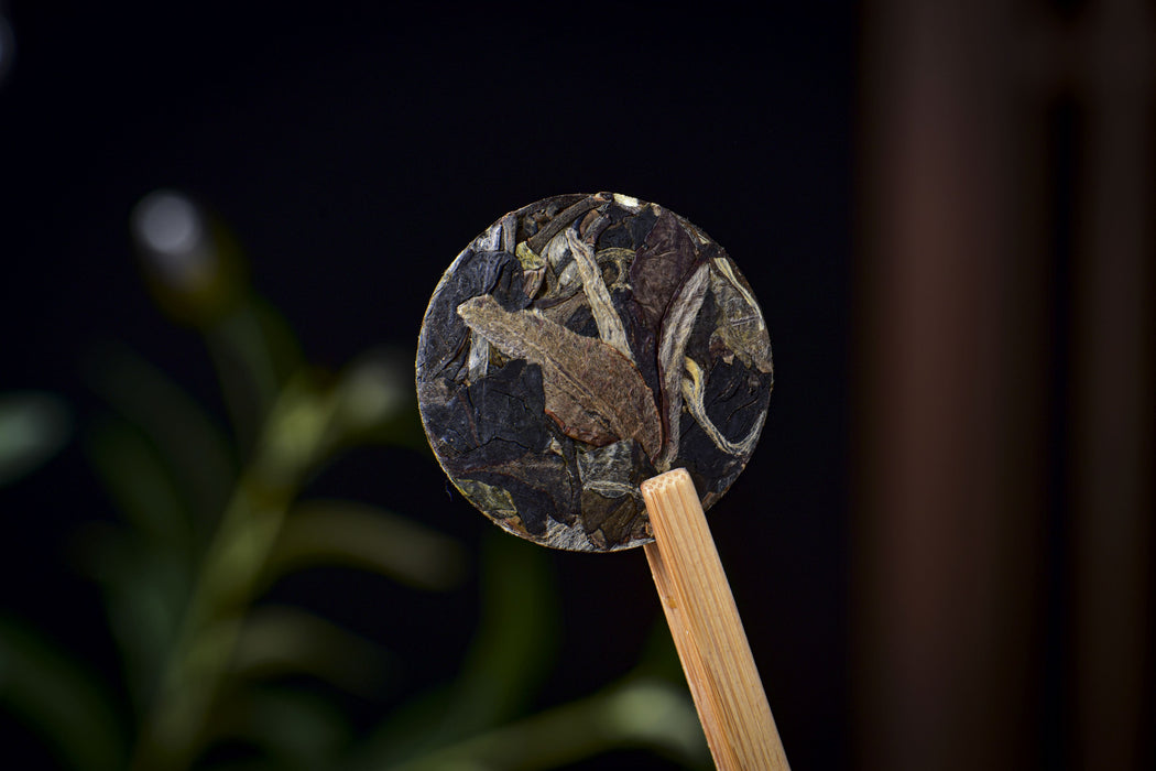 2026 Yunnan Sourcing "Silver Horse" White Tea Mini Cakes
