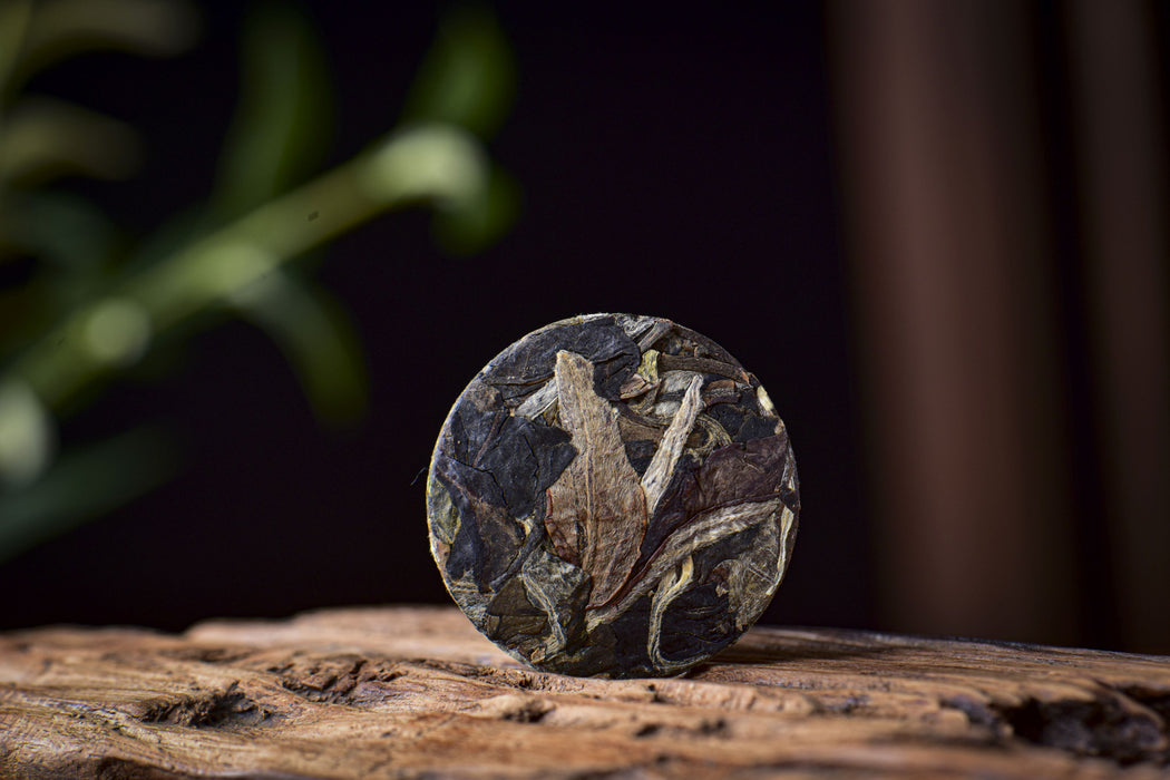 2026 Yunnan Sourcing "Silver Horse" White Tea Mini Cakes