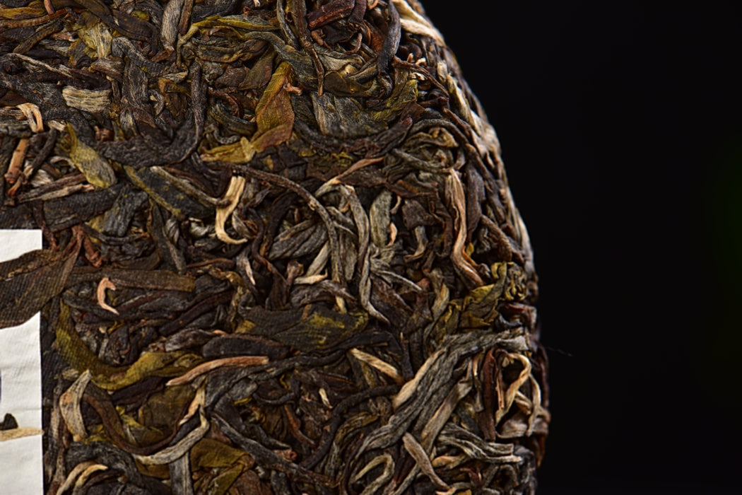 2025 Yunnan Sourcing "Naka Beauty" Old Arbor Raw Pu-erh Tea Cake | Yunnan Sourcing Tea Shop