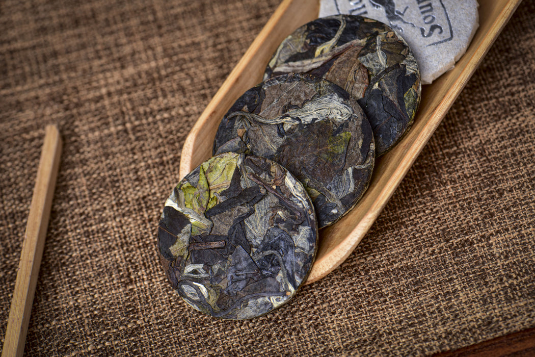 2026 Yunnan Sourcing "Silver Horse" White Tea Mini Cakes