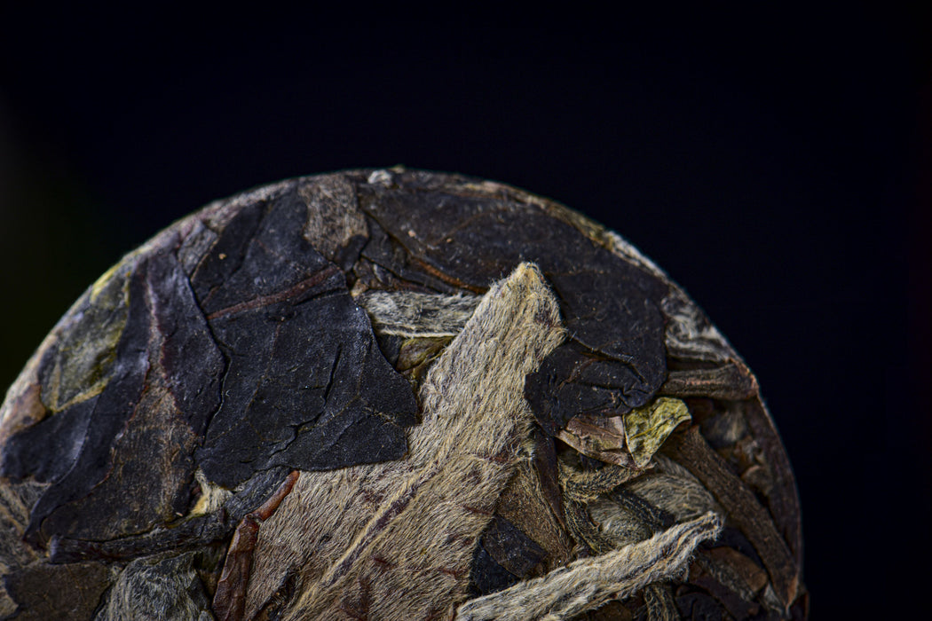 2026 Yunnan Sourcing "Silver Horse" White Tea Mini Cakes