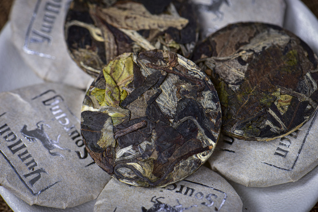 2026 Yunnan Sourcing "Silver Horse" White Tea Mini Cakes