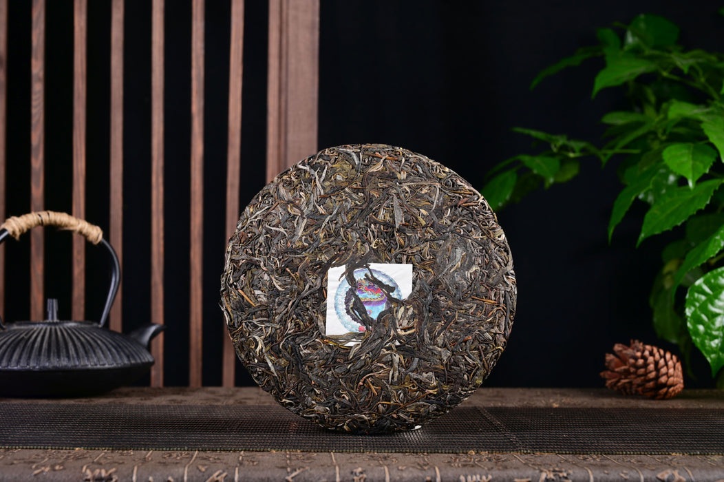 2024 Yunnan Sourcing "Bang Wai Mountain" Raw Pu-erh Tea Cake