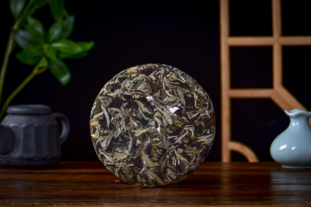 2026 Yunnan Sourcing "Mengku Gu Shu Bai Cha" White Tea Cake | Yunnan Sourcing Tea Shop