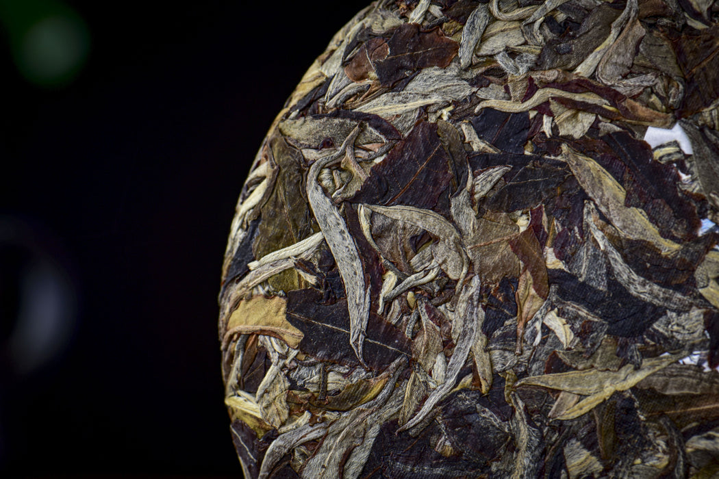 2026 Yunnan Sourcing "Mengku Gu Shu Bai Cha" White Tea Cake | Yunnan Sourcing Tea Shop