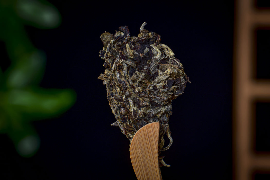 2026 Yunnan Sourcing "Mengku Gu Shu Bai Cha" White Tea Cake | Yunnan Sourcing Tea Shop