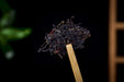 "Purple Voodoo" Purple Black Tea Cake * Spring 2026 | Yunnan Sourcing Tea Shop