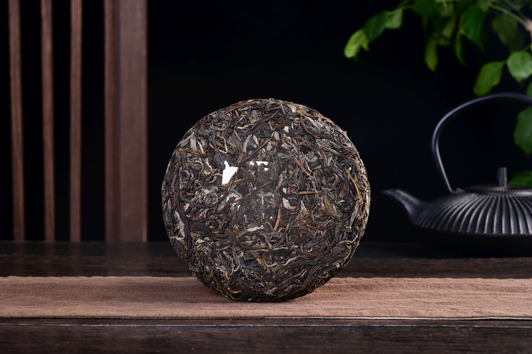 2025 Yunnan Sourcing "Wan Gong Village" Wild Arbor Raw Pu-erh Tea Cake | Yunnan Sourcing Tea Shop