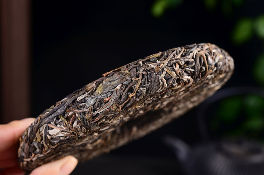 2025 Yunnan Sourcing "Wan Gong Village" Wild Arbor Raw Pu-erh Tea Cake | Yunnan Sourcing Tea Shop