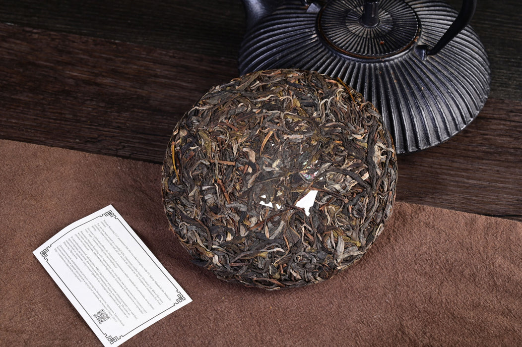2025 Yunnan Sourcing "Wan Gong Village" Wild Arbor Raw Pu-erh Tea Cake | Yunnan Sourcing Tea Shop