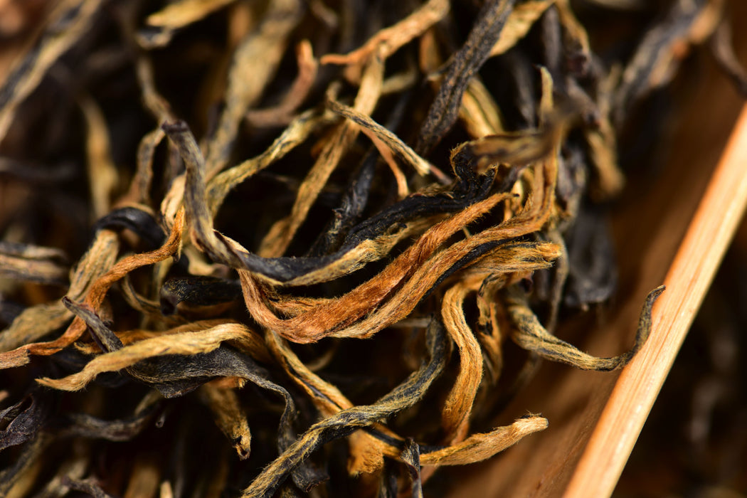 Feng Qing "Old Plantation" Dian Hong Black Tea | Yunnan Sourcing Tea Shop