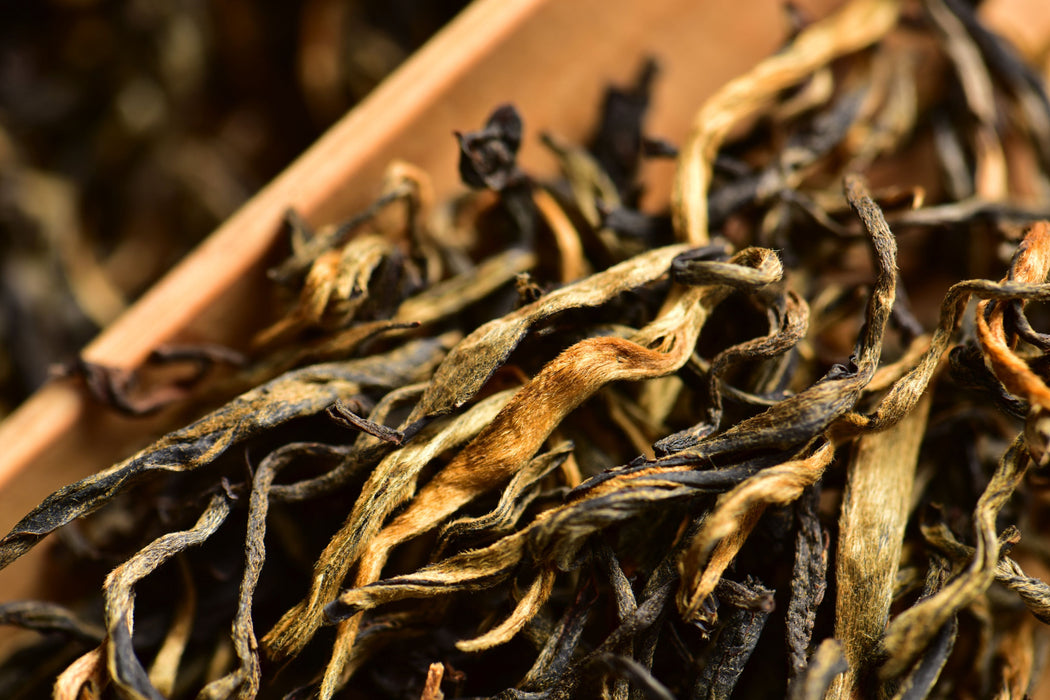Feng Qing "Old Plantation" Dian Hong Black Tea | Yunnan Sourcing Tea Shop