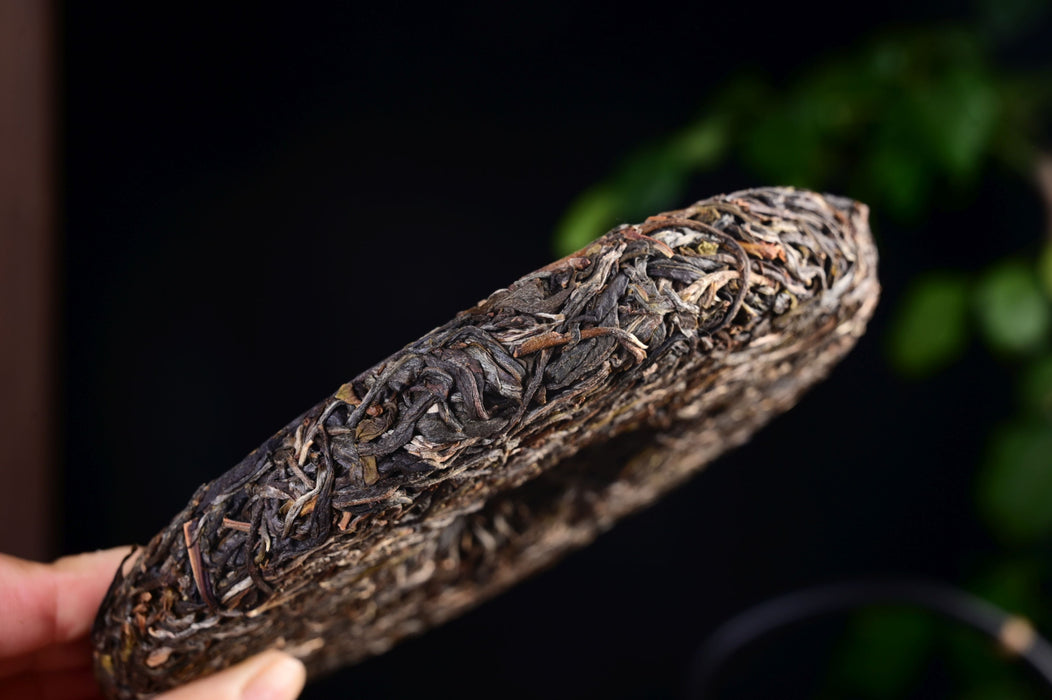 2025 Yunnan Sourcing "Ge Deng" Wild Arbor Raw Pu-erh Tea Cake | Yunnan Sourcing Tea Shop
