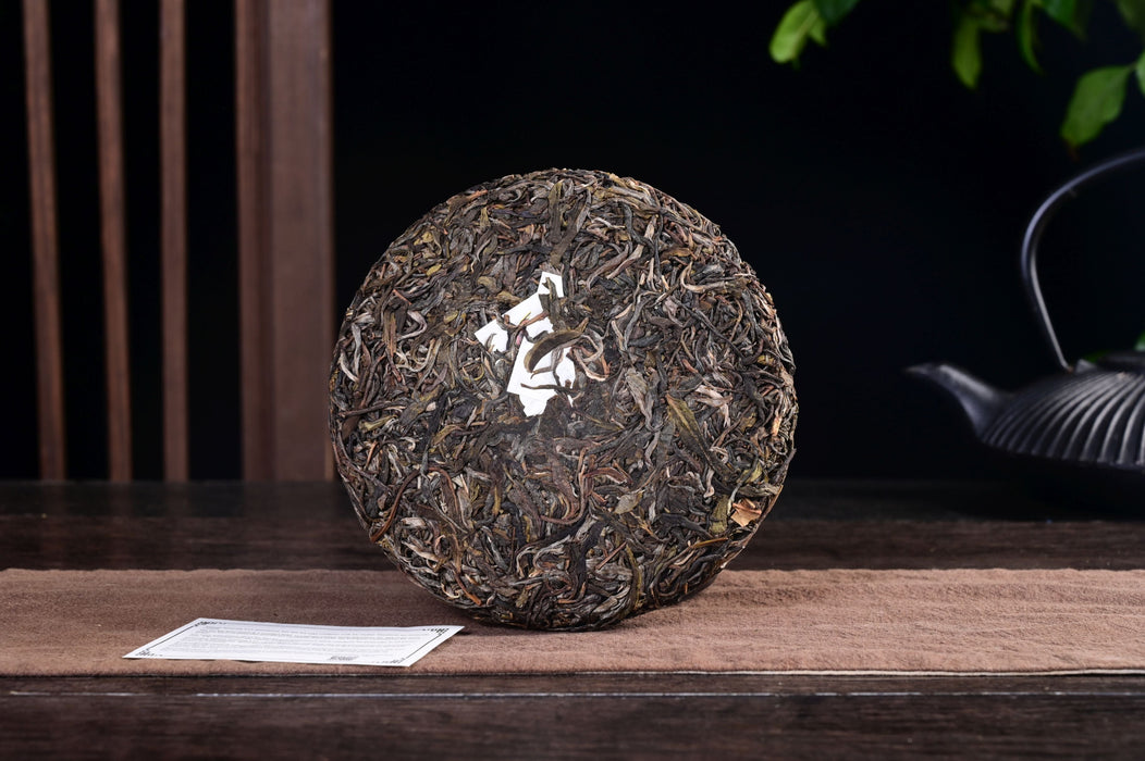 2025 Yunnan Sourcing "Yi Bang" Wild Arbor Raw Pu-erh Tea Cake | Yunnan Sourcing Tea Shop