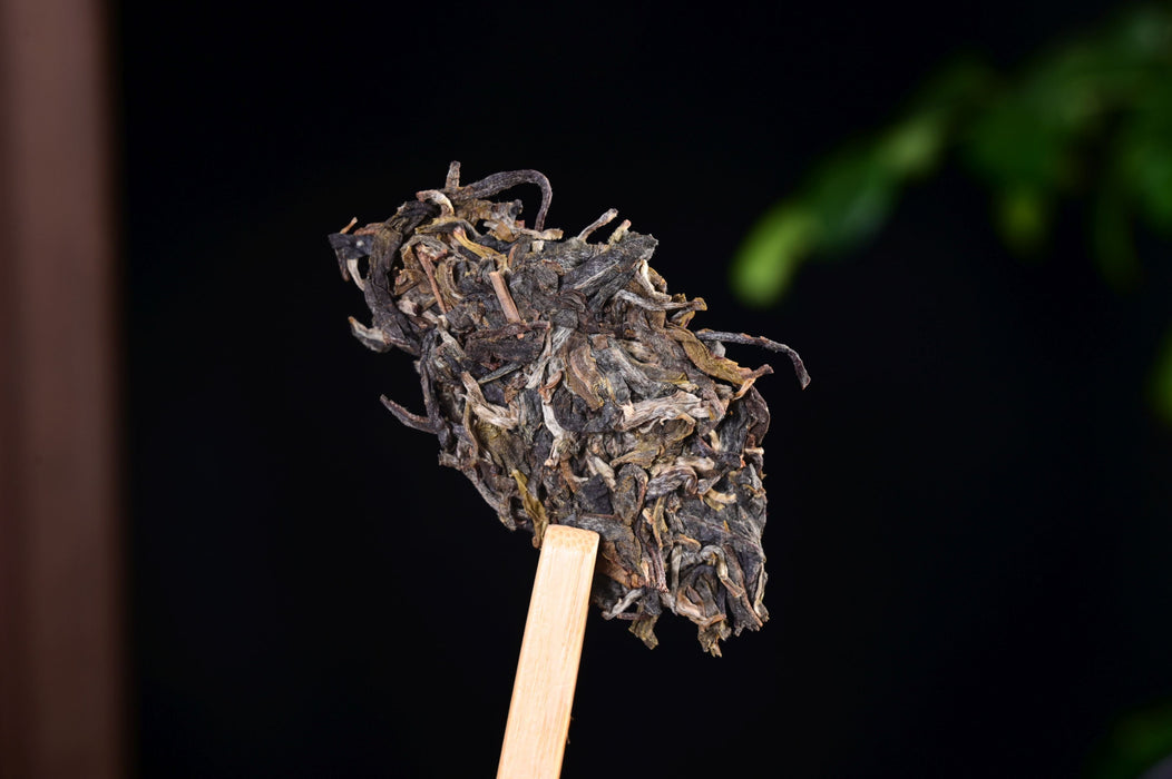2025 Yunnan Sourcing "Ge Deng" Wild Arbor Raw Pu-erh Tea Cake | Yunnan Sourcing Tea Shop