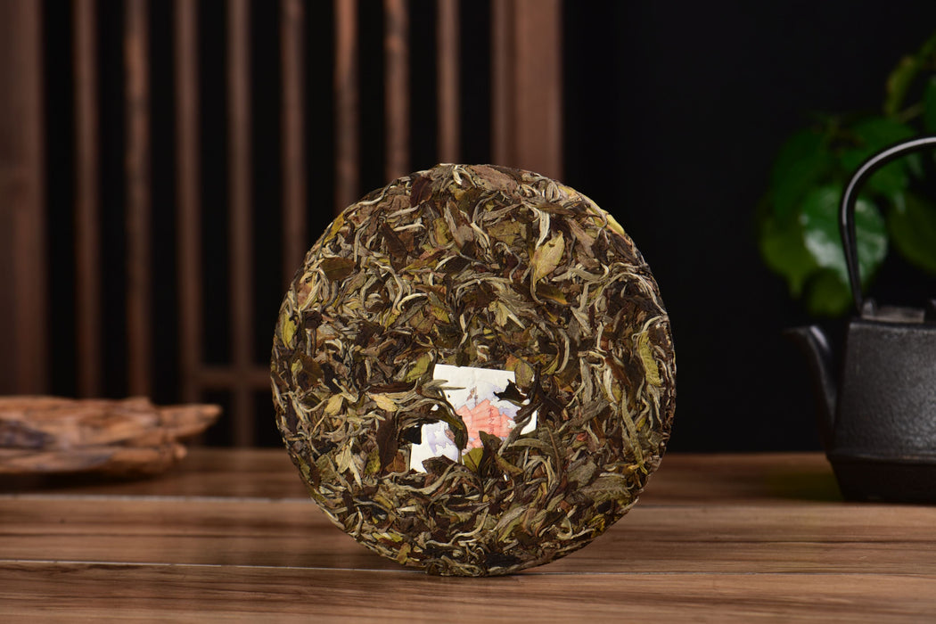 2025 Yunnan Sourcing "Mengku Gu Shu Bai Cha" White Tea Cake | Yunnan Sourcing Tea Shop