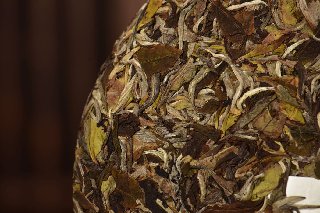 2025 Yunnan Sourcing "Mengku Gu Shu Bai Cha" White Tea Cake | Yunnan Sourcing Tea Shop