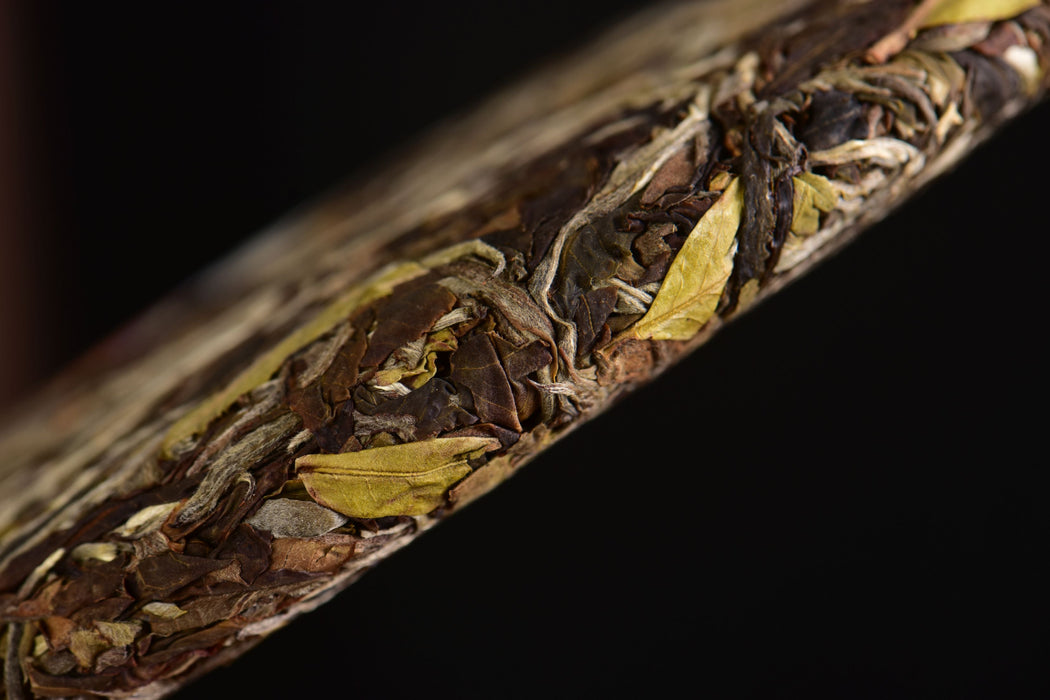 2025 Yunnan Sourcing "Mengku Gu Shu Bai Cha" White Tea Cake | Yunnan Sourcing Tea Shop