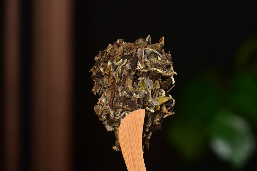 2025 Yunnan Sourcing "Mengku Gu Shu Bai Cha" White Tea Cake | Yunnan Sourcing Tea Shop