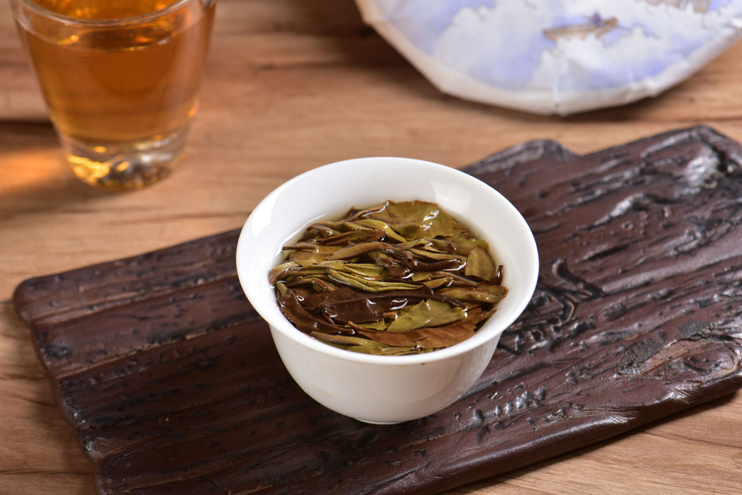 2025 Yunnan Sourcing "Mengku Gu Shu Bai Cha" White Tea Cake | Yunnan Sourcing Tea Shop