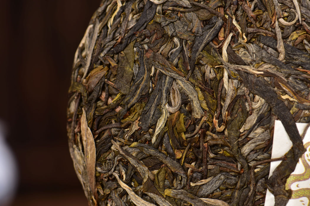 2025 Yunnan Sourcing "Mo Lie Shan" Raw Pu-erh Tea Cake | Yunnan Sourcing Tea Shop