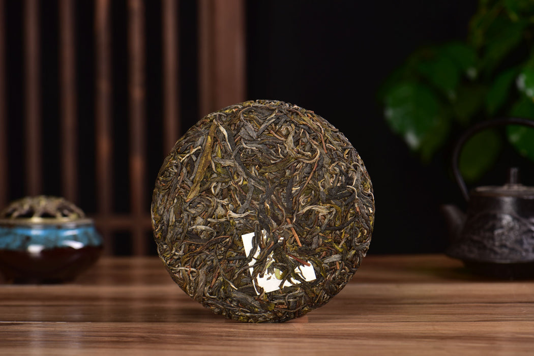 2025 Yunnan Sourcing "Bing Dao Lao Zhai" Raw Pu-erh Tea Cake | Yunnan Sourcing Tea Shop