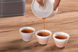 Ice Jade Porcelain Easy Gaiwan and Cups Tea Set | Yunnan Sourcing Tea Shop
