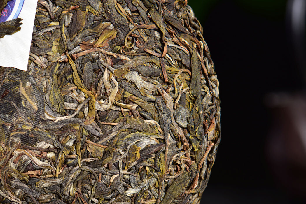 2024 Yunnan Sourcing "Meng Zhu Da Shan" Old Arbor Raw Pu-erh Tea Cake