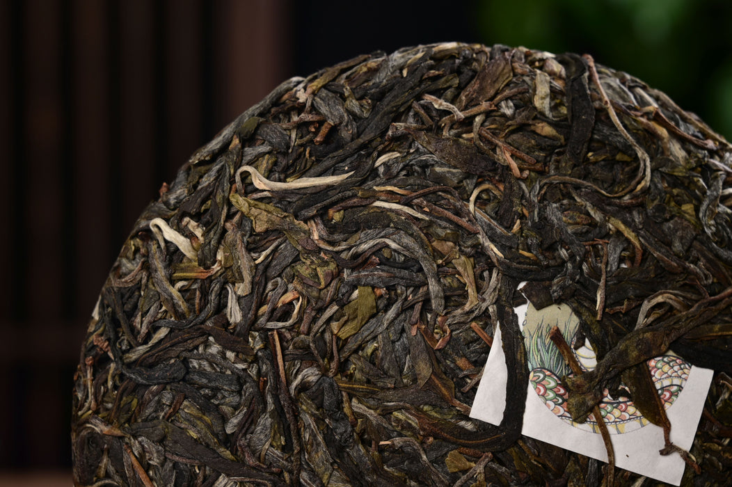 2025 Yunnan Sourcing "Wan Gong Village" Ancient Arbor Raw Pu-erh Tea Cake | Yunnan Sourcing Tea Shop