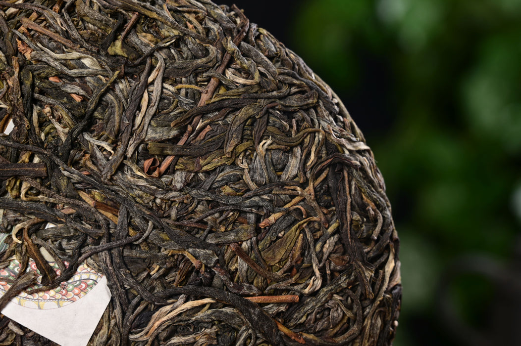 2025 Yunnan Sourcing "Ge Deng" Ancient Arbor Raw Pu-erh Tea Cake | Yunnan Sourcing Tea Shop