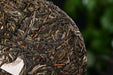 2025 Yunnan Sourcing "Ge Deng" Ancient Arbor Raw Pu-erh Tea Cake | Yunnan Sourcing Tea Shop