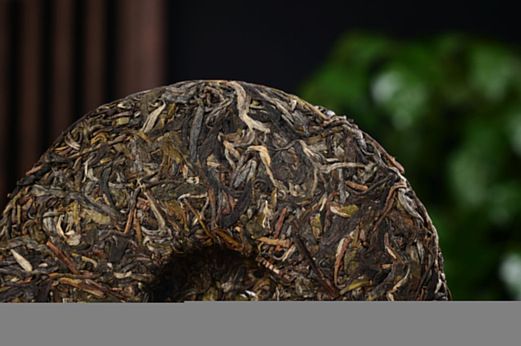 2025 Yunnan Sourcing "Ge Deng" Ancient Arbor Raw Pu-erh Tea Cake | Yunnan Sourcing Tea Shop