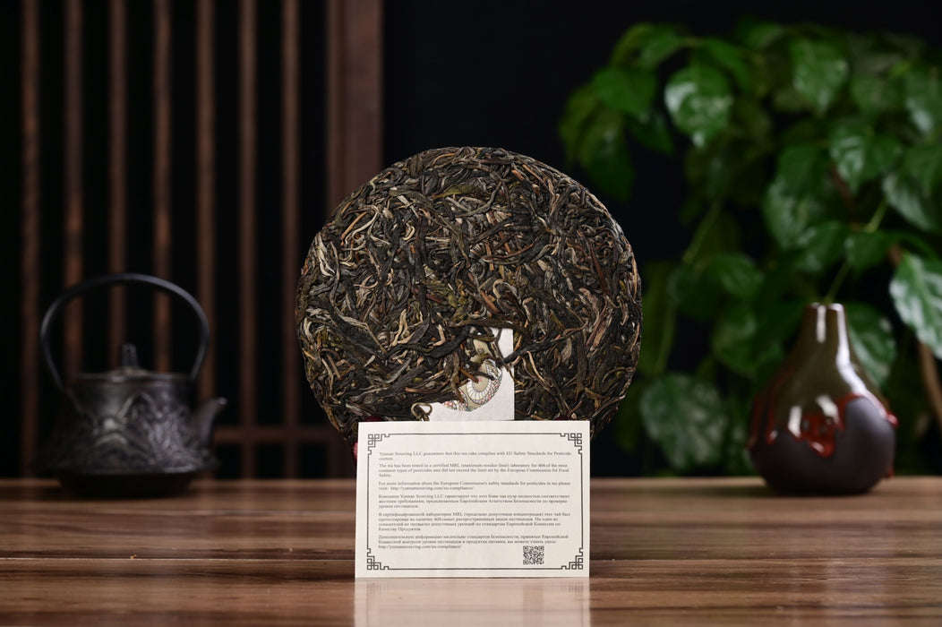 2025 Yunnan Sourcing "Luo Shui Dong" Ancient Arbor Raw Pu-erh Tea Cake | Yunnan Sourcing Tea Shop
