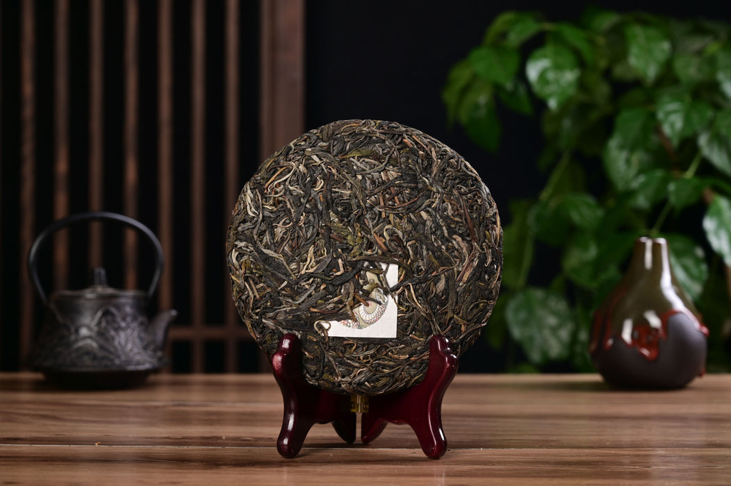 2025 Yunnan Sourcing "Luo Shui Dong" Ancient Arbor Raw Pu-erh Tea Cake | Yunnan Sourcing Tea Shop