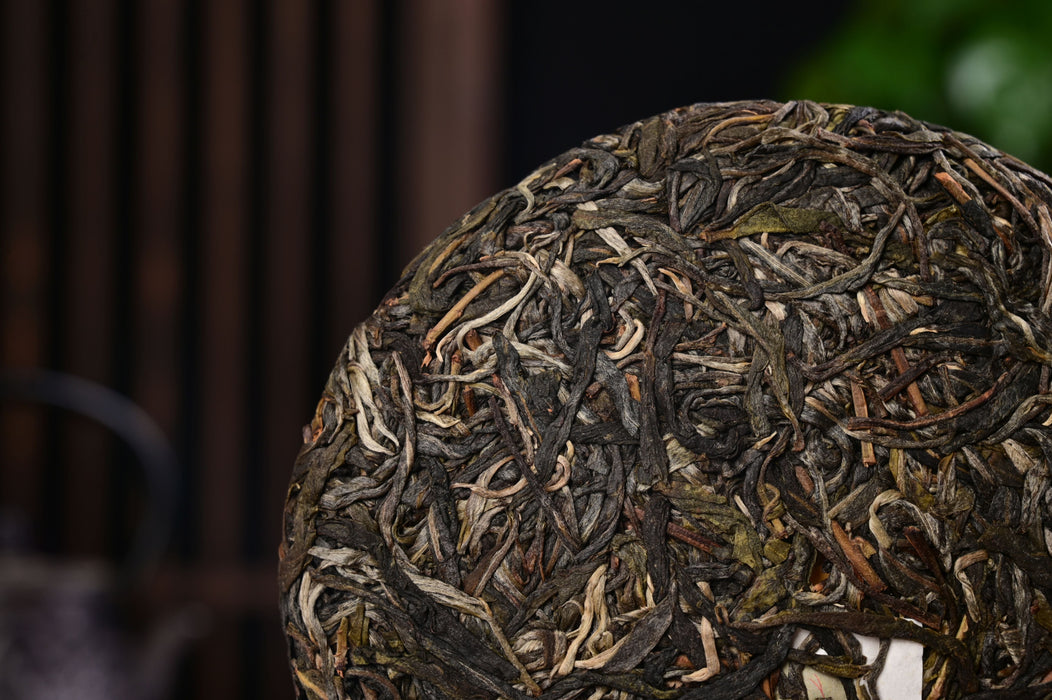 2025 Yunnan Sourcing "Luo Shui Dong" Ancient Arbor Raw Pu-erh Tea Cake | Yunnan Sourcing Tea Shop