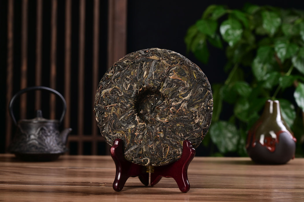 2025 Yunnan Sourcing "Luo Shui Dong" Ancient Arbor Raw Pu-erh Tea Cake | Yunnan Sourcing Tea Shop