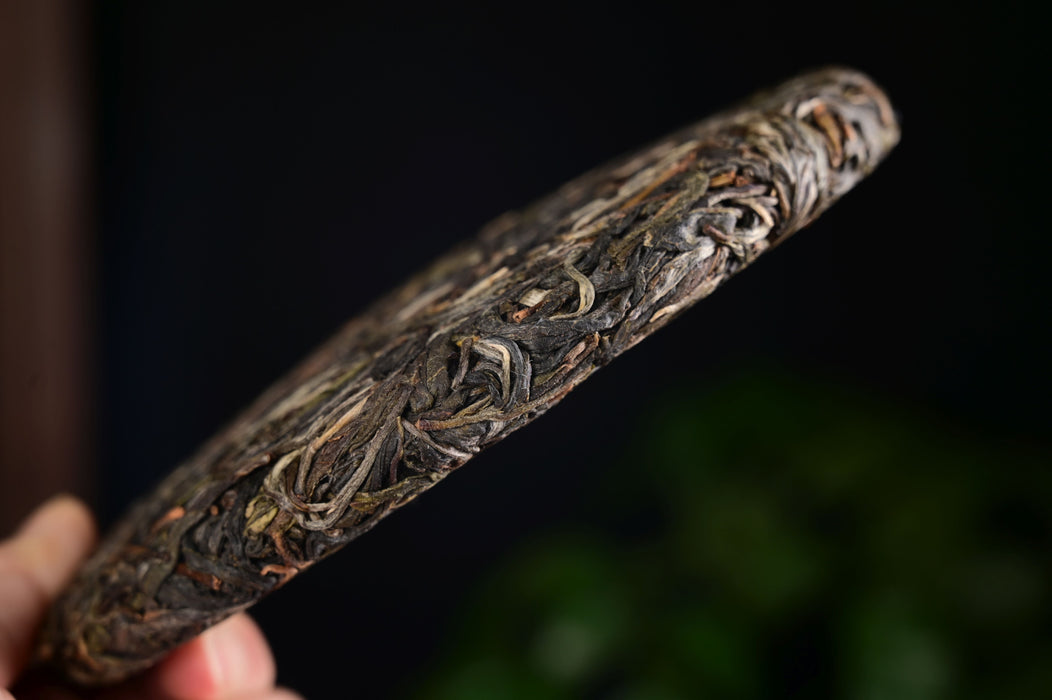 2025 Yunnan Sourcing "Luo Shui Dong" Ancient Arbor Raw Pu-erh Tea Cake | Yunnan Sourcing Tea Shop