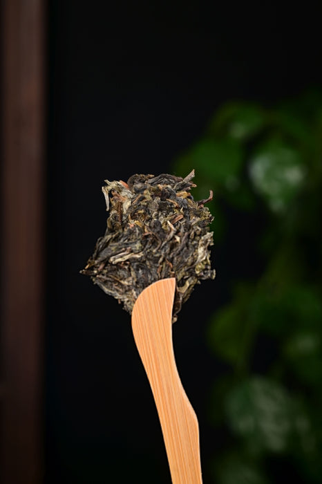 2025 Yunnan Sourcing "Ge Deng" Ancient Arbor Raw Pu-erh Tea Cake | Yunnan Sourcing Tea Shop