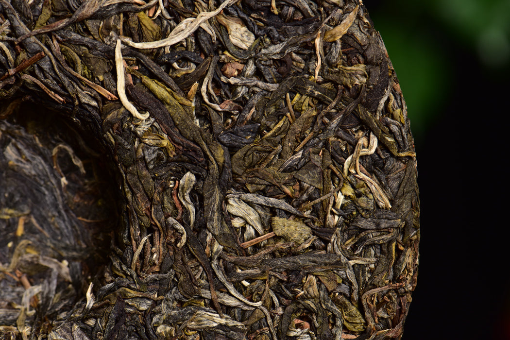 2024 Yunnan Sourcing "Huang Shan Gu Shu" Old Arbor Raw Pu-erh Tea Cake