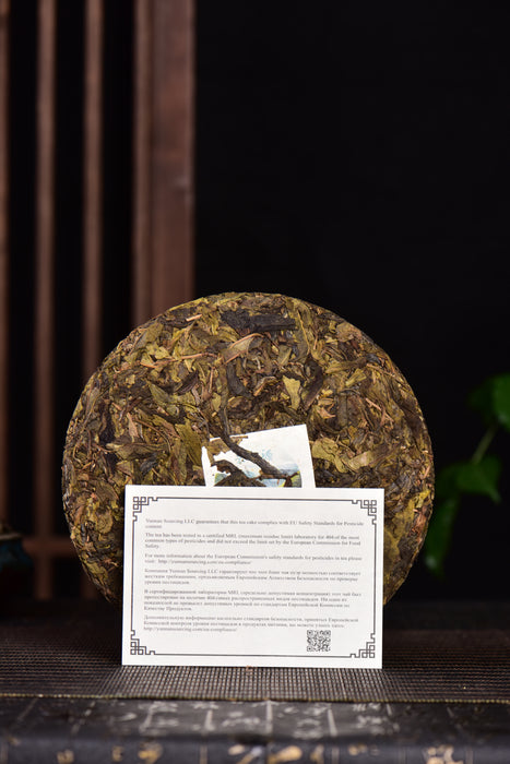 2024 Yunnan Sourcing "Spring Morning" Raw Pu-erh Tea Cake