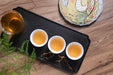 2025 Yunnan Sourcing "Wan Gong Village" Ancient Arbor Raw Pu-erh Tea Cake | Yunnan Sourcing Tea Shop