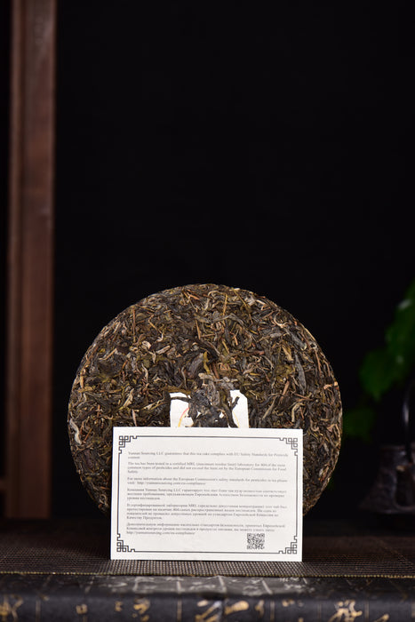 2024 Yunnan Sourcing "Da Qing Gu Shu" Raw Pu-erh Tea Cake