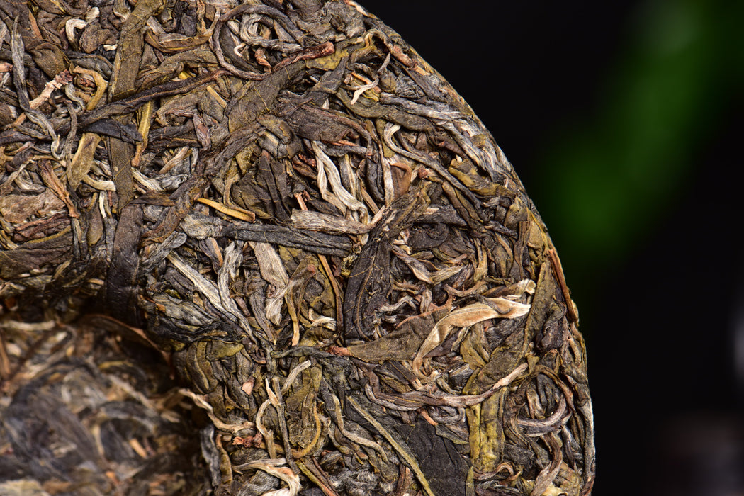 2024 Yunnan Sourcing "Da Qing Gu Shu" Raw Pu-erh Tea Cake