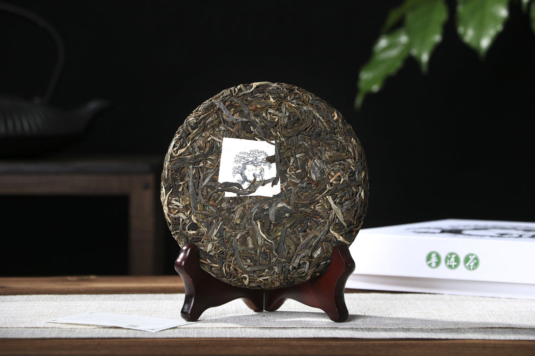 2026 Yunnan Sourcing "Ku Zhu Shan" Raw Pu-erh Tea Cake